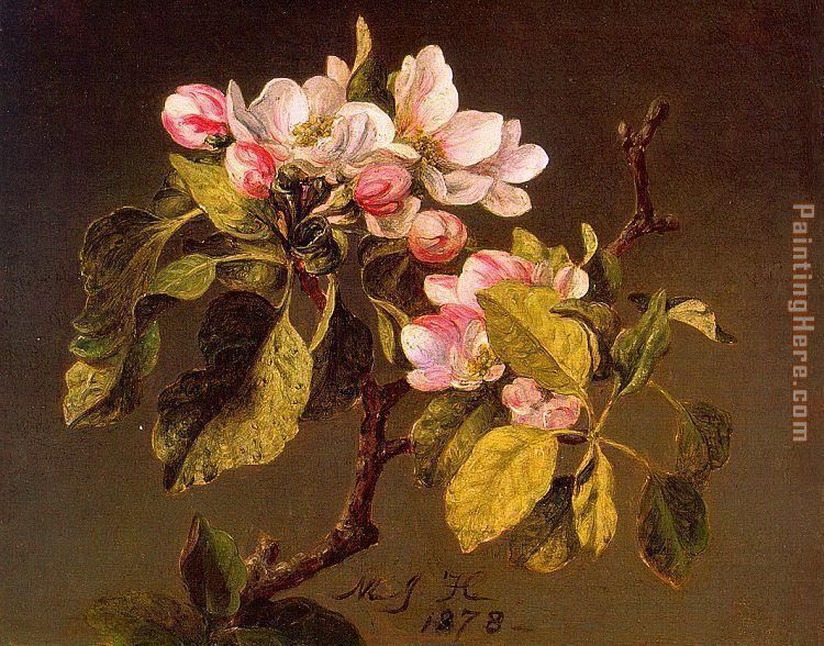Apple Blossoms painting - Martin Johnson Heade Apple Blossoms art painting